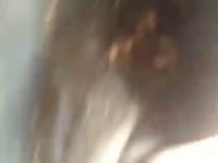 L&agrave;m t&igrave;nh với th&uacute;